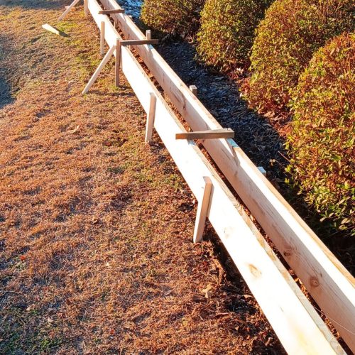 474811973_122195261192162801_79738419472480645_n